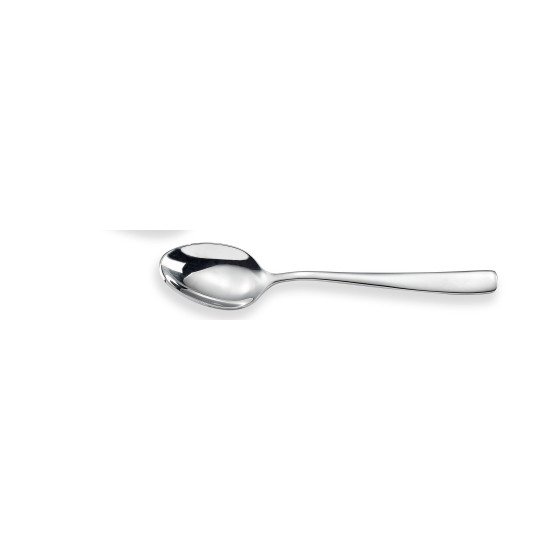 Stainless Steel Tea Spoon Set 6 Pieces